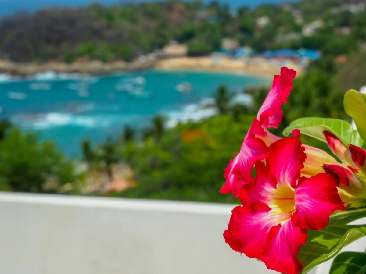 ホテル Casa Cascada - Adults Only プエルト・エスコンディード エクステリア 写真