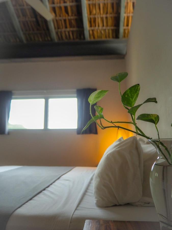 ホテル Casa Cascada - Adults Only プエルト・エスコンディード エクステリア 写真